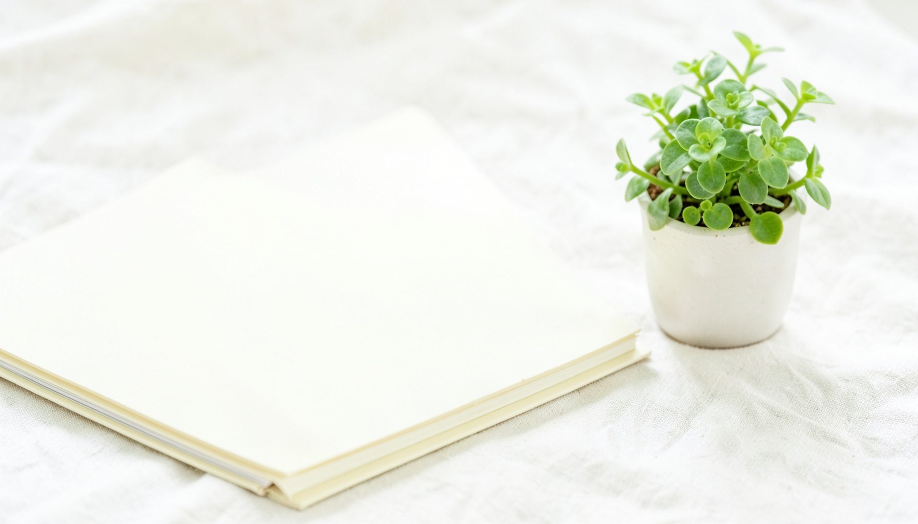 Bright, airy high-key photograph of a soft cream-colored open notebook beside a small potted plant on a sunlit pale linen surface, conveying a calm, neutral mood
